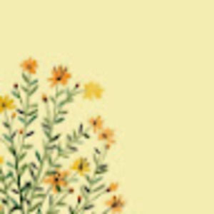 Meet your Posher, Aileen